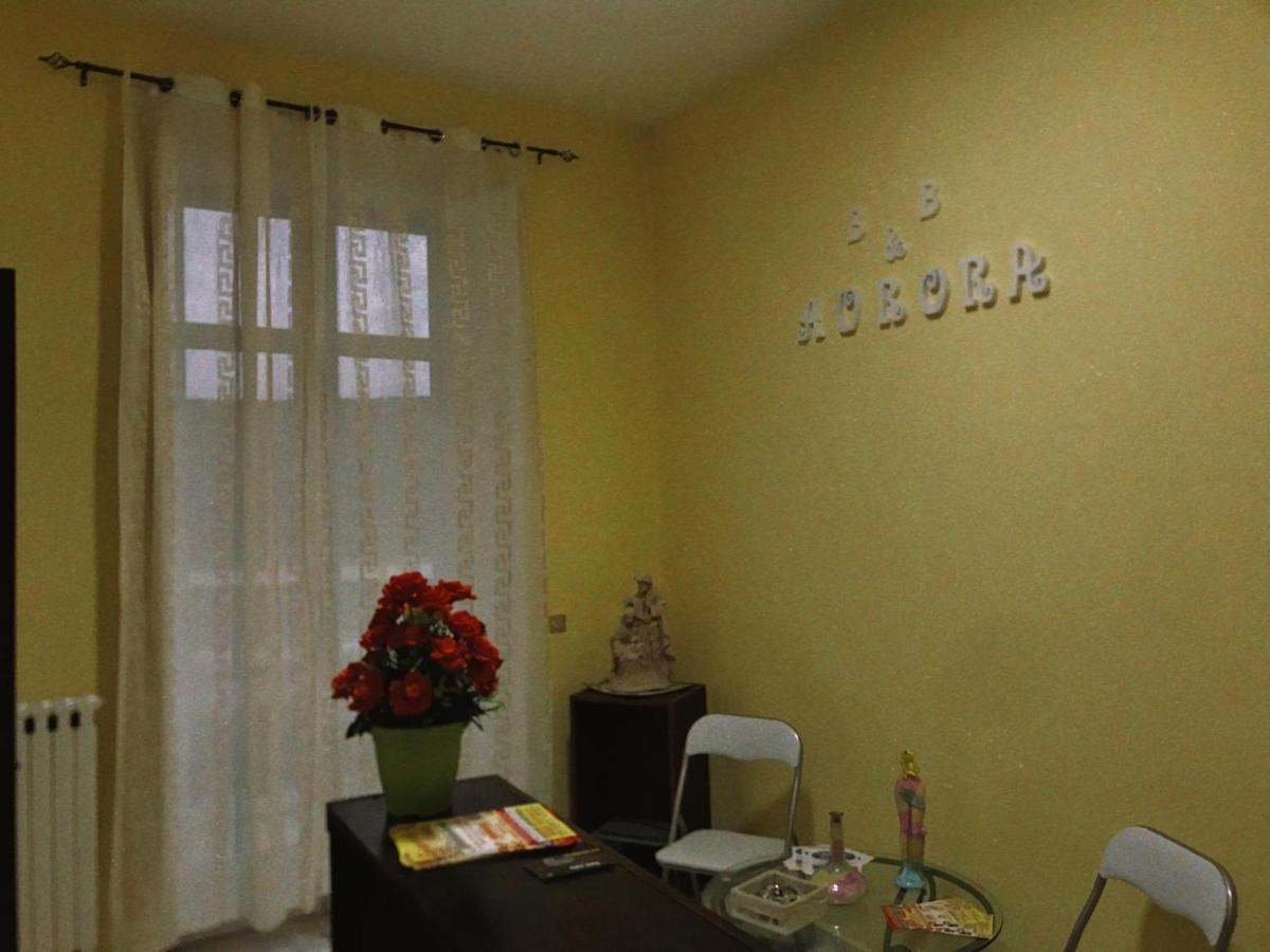 נולה B&B Aurora מראה חיצוני תמונה